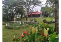 Fincas y Casas Campestres, Venta, Dapa - $1.350.000.000