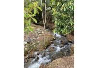 Casas, Venta, Calima (Darién) - $2.500.000.000