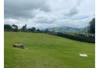 Casas, Venta, Calima (Darién) - $2.500.000.000