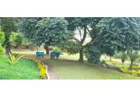 Fincas y Casas Campestres, Venta, Dagua - $1.100.000.000