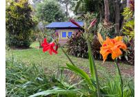 Fincas y Casas Campestres, Alquiler, Dapa - $7.800.000