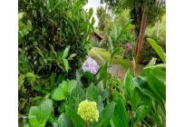 Casas, Venta, La Cumbre - $382.000.000