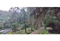 Edificios, Venta, Dapa - $2.299.000.000