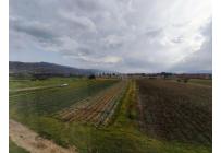 Apartamentos, Alquiler, Cajica - $1.300.000