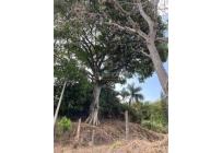 Lotes, Venta, Cristo Rey - $460.000.000