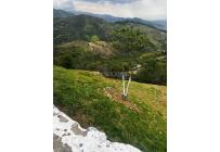 Lotes, Venta, La Reforma - $110.000.000