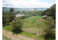 Lotes, Venta, Calima (Darién) - $150.000.000