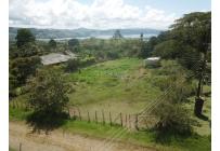 Lotes, Venta, Calima (Darién) - $150.000.000