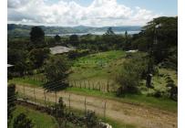 Lotes, Venta, Calima (Darién) - $150.000.000