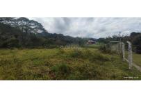 Lotes, Venta, Calima (Darién) - $150.000.000