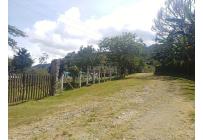 Lotes, Venta, Calima (Darién) - $150.000.000