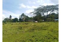 Lotes, Venta, Calima (Darién) - $150.000.000