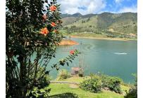 Casas, Venta, Calima (Darién) - $1.500.000.000