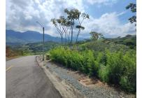 Lotes, Venta, Pance - $1.400.000.000