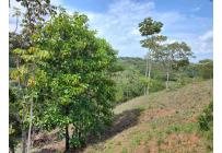 Lotes, Venta, Pance - $1.400.000.000