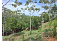 Lotes, Venta, Pance - $1.400.000.000