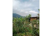 Fincas y Casas Campestres, Venta, Ginebra - $160.000.000