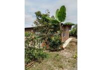 Fincas y Casas Campestres, Venta, Ginebra - $160.000.000