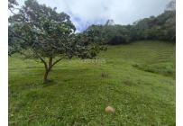 Lotes, Venta, Dagua - $2.000.000.000