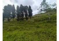 Lotes, Venta, Dagua - $2.000.000.000