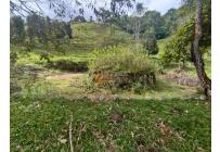 Lotes, Venta, Dagua - $2.000.000.000