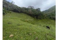 Lotes, Venta, Dagua - $2.000.000.000