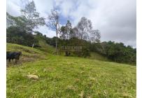 Lotes, Venta, Dagua - $2.000.000.000