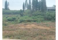 Lotes, Venta, Ciudad Jardín - $550.000.000