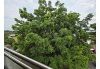 Apartamentos, Venta, Prados del Norte - $480.000.000