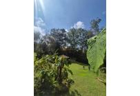 Fincas y Casas Campestres, Venta, Dagua - $730.000.000