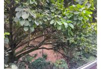 Apartaestudios, Alquiler, El Peñón - $2.500.000