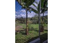 Fincas y Casas Campestres, Venta, Dagua - $860.000.000