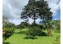 Fincas y Casas Campestres, Venta, Dagua - $750.000.000