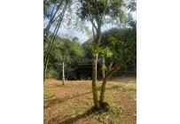 Fincas y Casas Campestres, Venta, La Cumbre - $320.000.000