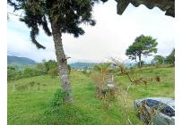 Fincas y Casas Campestres, Venta, Dagua - $1.300.000.000