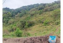 Fincas y Casas Campestres, Venta, Dagua - $1.300.000.000