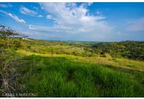 Lotes, Venta, Pance - $950.000.000