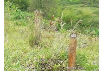 Fincas y Casas Campestres, Venta, Calima (Darién) - $2.500.000.000