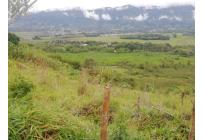 Fincas y Casas Campestres, Venta, Calima (Darién) - $2.500.000.000