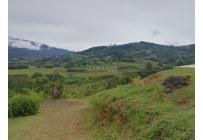 Fincas y Casas Campestres, Venta, Calima (Darién) - $2.500.000.000