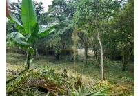 Lotes, Venta, Pance - $2.137.000.000