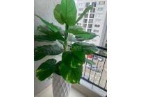 Apartamentos, Venta, Hacienda Kachipay - $230.000.000