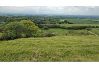 Lotes, Venta, Palmira - $450.000.000