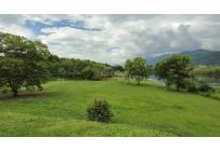 Lotes, Venta, Palmira - $450.000.000