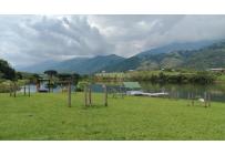 Lotes, Venta, Palmira - $450.000.000