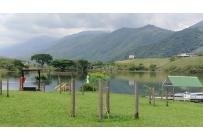 Lotes, Venta, Palmira - $450.000.000