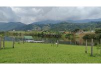 Lotes, Venta, Palmira - $450.000.000