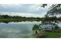 Lotes, Venta, Palmira - $450.000.000