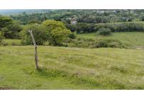 Lotes, Venta, Palmira - $450.000.000