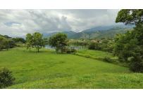 Lotes, Venta, Palmira - $450.000.000